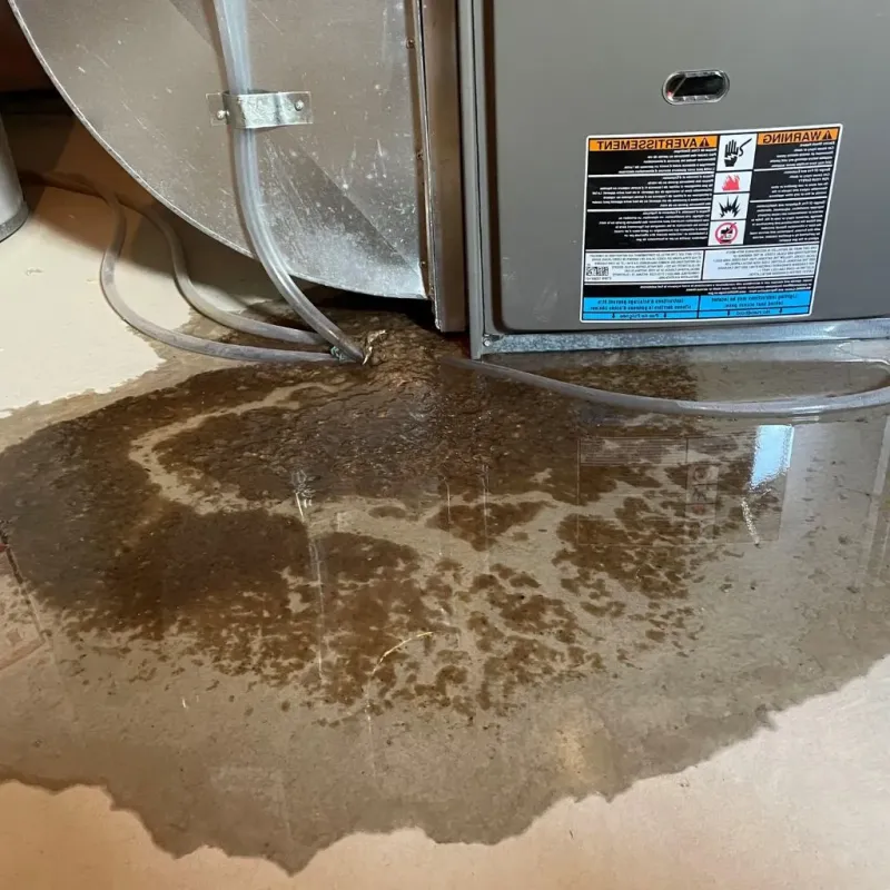 Pipe Burst and Leak Restoration in Clinton, MD